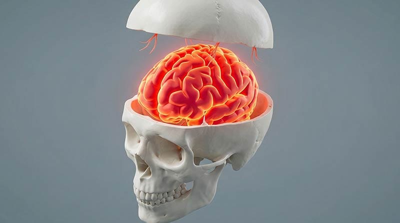 3D simulation of what happens if you stop drinking water and kidney failure