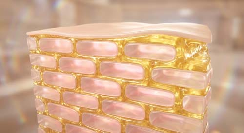 3D micro-sculpt of ceramides acting as lipid skin glue to repair damaged winter skin by filling gaps between skin cells and restoring the skin barrier structure