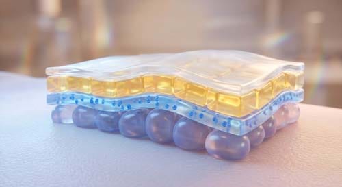 A 3D anatomical model of a 3-layer skin armor system for winter skin repair featuring hyaluronic acid, ceramides, and petrolatum to block cold air damage