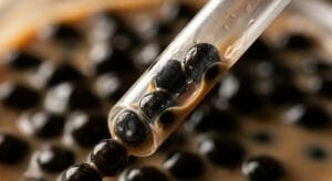 Close-up macro shot of black tapioca bubble tea pearls being sucked through a straw illustrating the dense chewy starch structure that makes bubble tea pearls digestion take up to 8 hours in the stomach